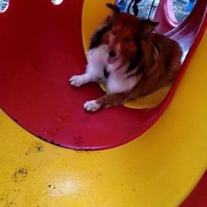 Meet your Posher, Tammy